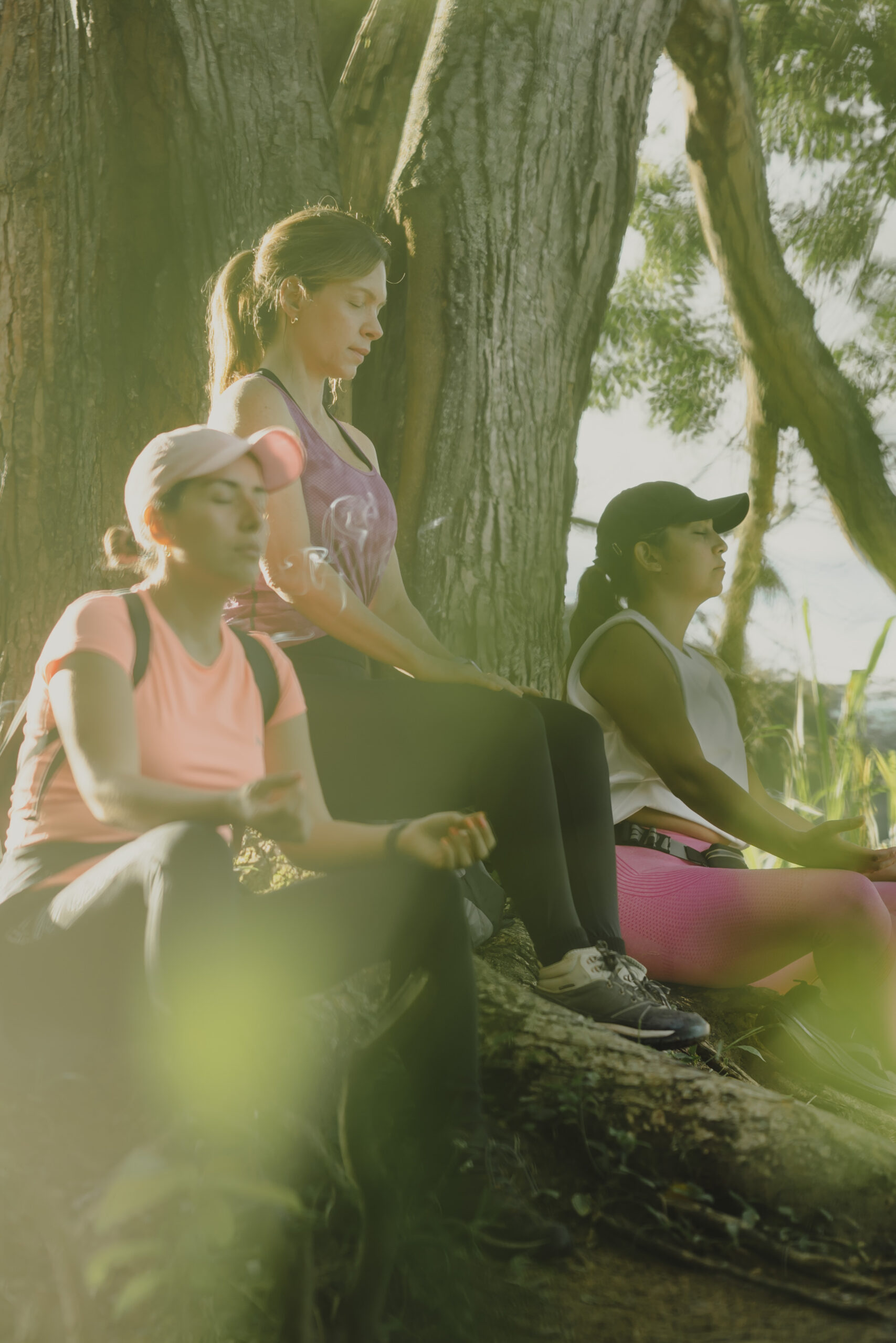 Siluetas realizando meditación en la cima.